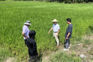 石台县矶滩乡：科技特派员送“技”下乡 助农抗旱保丰收